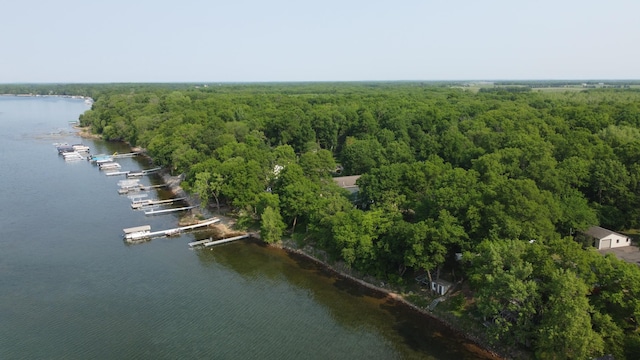 23759 Clarissa Haven Dr, Girard Twp, MN 56551 - bird's eye view of a nearby body of water and a heavily wooded area