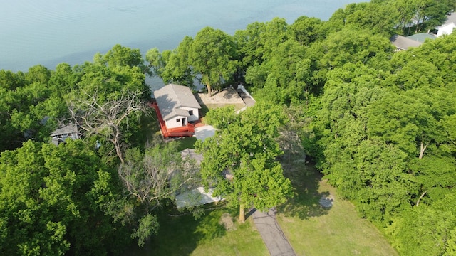 23759 Clarissa Haven Dr, Girard Twp, MN 56551 - view of subject property