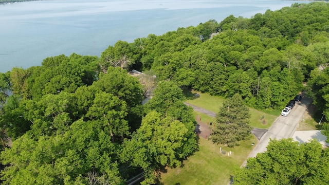 23759 Clarissa Haven Dr, Girard Twp, MN 56551 - bird's eye view of a heavily wooded area and a nearby body of water