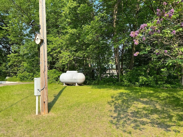 23759 Clarissa Haven Dr, Girard Twp, MN 56551 - view of grassy yard