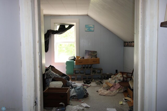133 Welch St, Perley, MN 56574 - additional living space featuring carpet floors and vaulted ceiling