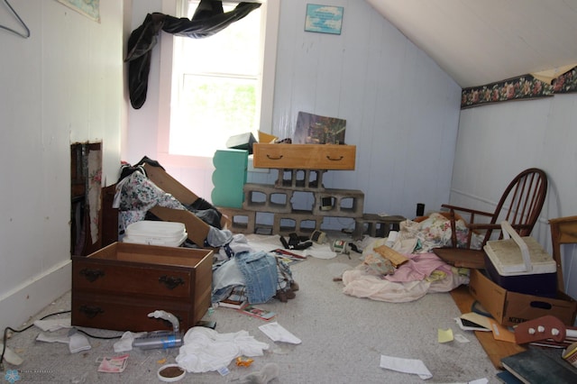 133 Welch St, Perley, MN 56574 - bedroom with vaulted ceiling