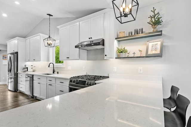 1600 Buffalo Cv, Buffalo, MN 55313 - kitchen featuring stainless steel appliances, under cabinet range hood, a chandelier, a sink, and lofted ceiling