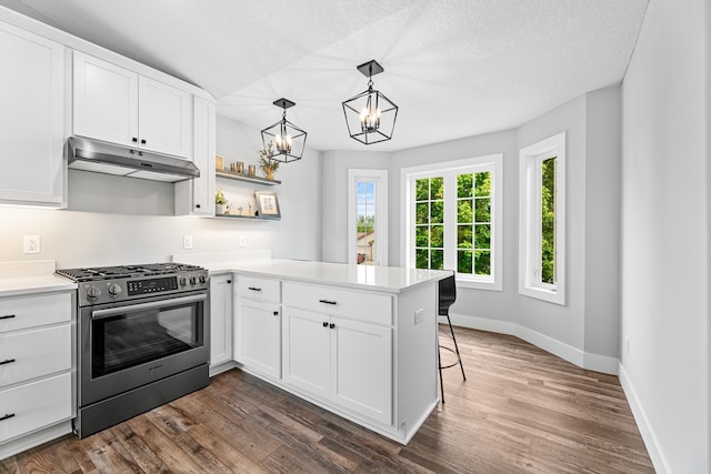 1600 Buffalo Cv, Buffalo, MN 55313 - kitchen with stainless steel range with gas cooktop, under cabinet range hood, light countertops, a peninsula, and baseboards