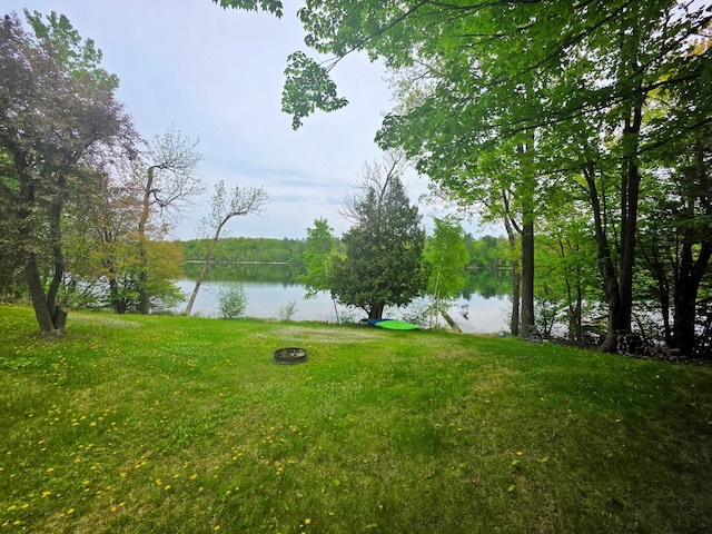 1331 9th St, Grand Rapids, MN 55744 - water view