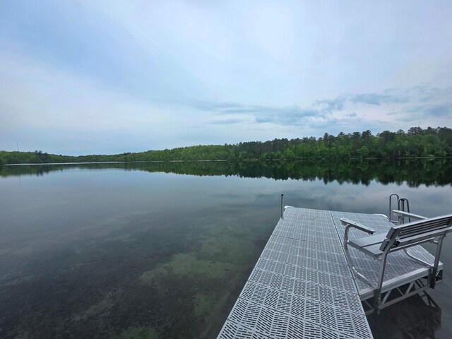 1331 9th St, Grand Rapids, MN 55744 - dock area with a water view and a wooded view