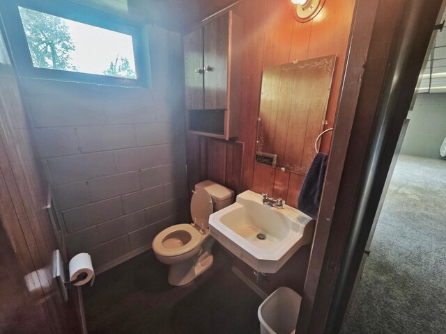 1331 9th St, Grand Rapids, MN 55744 - half bath with toilet, a sink, and concrete block wall