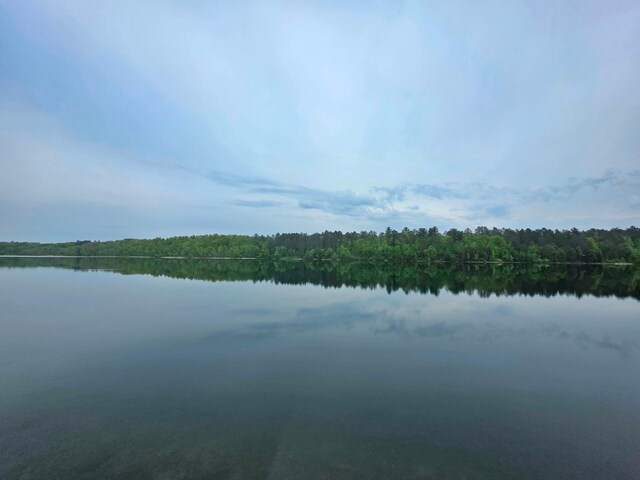 1331 9th St, Grand Rapids, MN 55744 - water view featuring a heavily wooded area