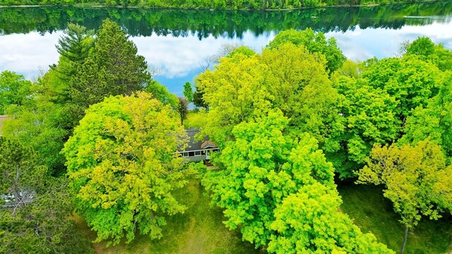 1331 9th St, Grand Rapids, MN 55744 - aerial view of a nearby body of water and a forest