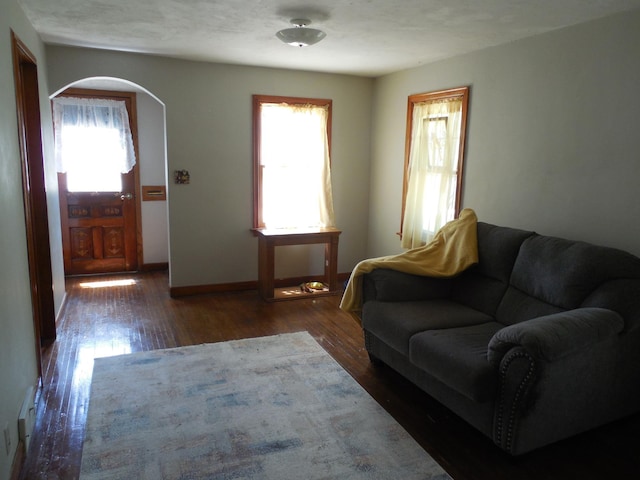 1156 River Rd, Windom, MN 56101 - living room with arched walkways, plenty of natural light, and wood finished floors