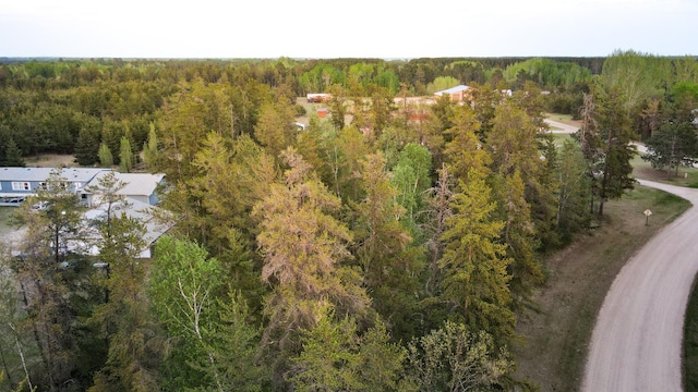 TBD1 Birdsview Ln NW, Eckles Twp, MN 56601