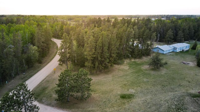 TBD1 Birdsview Ln NW, Eckles Twp, MN 56601