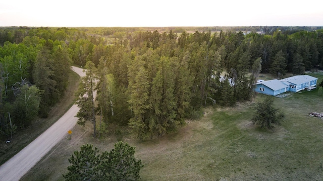 TBD1 Birdsview Ln NW, Eckles Twp, MN 56601