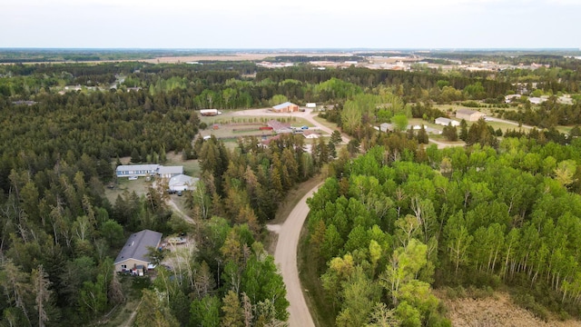 TBD1 Birdsview Ln NW, Eckles Twp, MN 56601