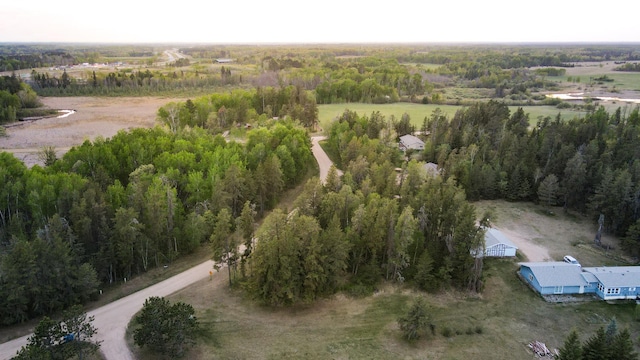 TBD1 Birdsview Ln NW, Eckles Twp, MN 56601