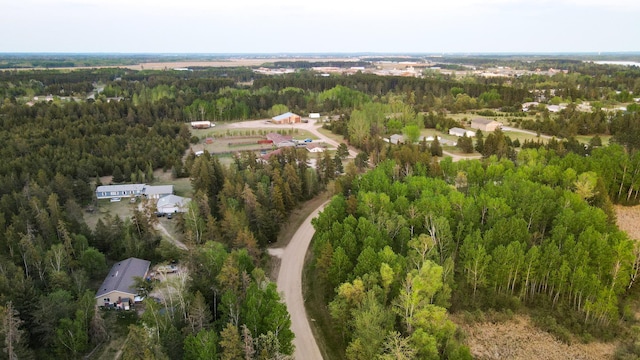 TBD1 Birdsview Ln NW, Eckles Twp, MN 56601