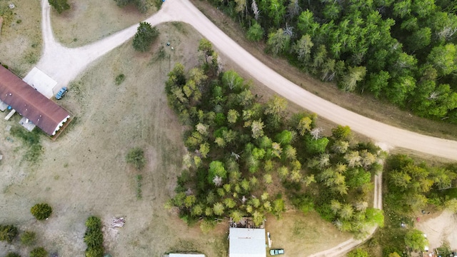 TBD1 Birdsview Ln NW, Eckles Twp, MN 56601