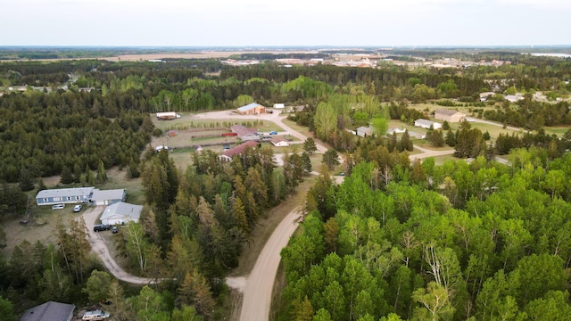 TBD1 Birdsview Ln NW, Eckles Twp, MN 56601