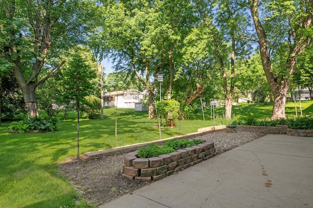 601 4th Ave N, Sauk Rapids, MN 56379 - view of grassy yard featuring a patio area and view of scattered trees