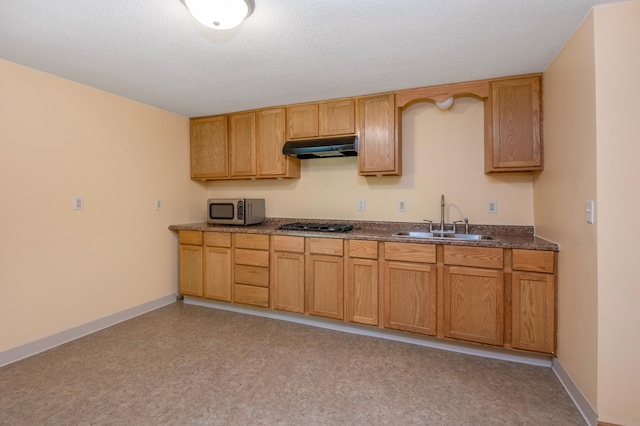 601 4th Ave N, Sauk Rapids, MN 56379 - kitchen featuring stainless steel microwave, under cabinet range hood, and gas cooktop