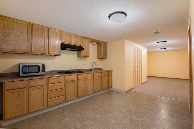 601 4th Ave N, Sauk Rapids, MN 56379 - kitchen with stainless steel microwave, under cabinet range hood, dark countertops, black gas stovetop, and a textured ceiling
