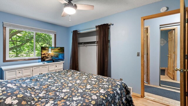 1504 89th Ave N, Brooklyn Park, MN 55444 - bedroom featuring a closet, light wood-style floors, ceiling fan, and baseboards