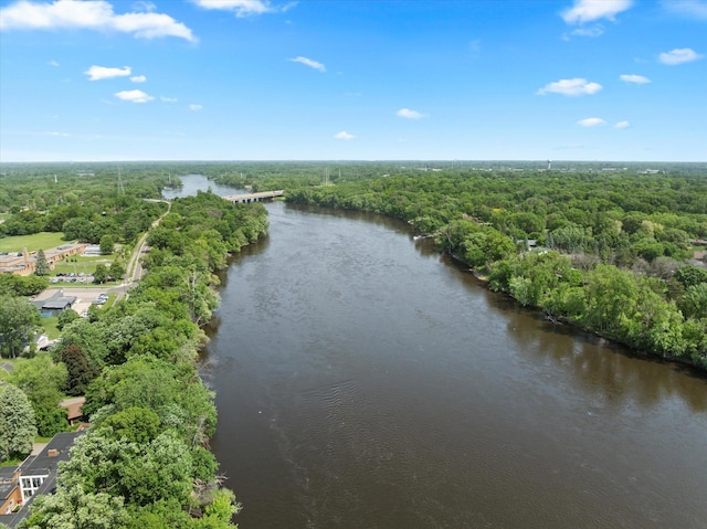1504 89th Ave N, Brooklyn Park, MN 55444 - bird's eye view of a forest and a large body of water