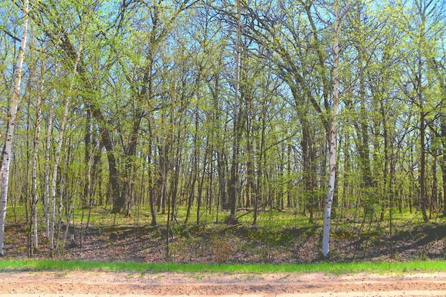 8 392nd St, Fawn Lake Twp, MN 56438