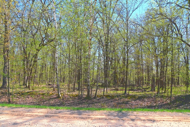 8 392nd St, Fawn Lake Twp, MN 56438