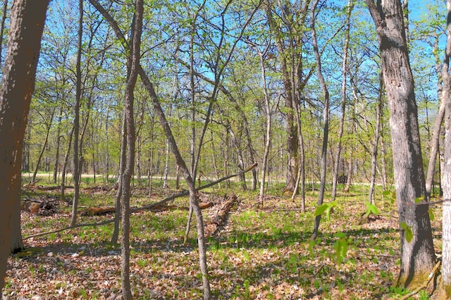 8 392nd St, Fawn Lake Twp, MN 56438