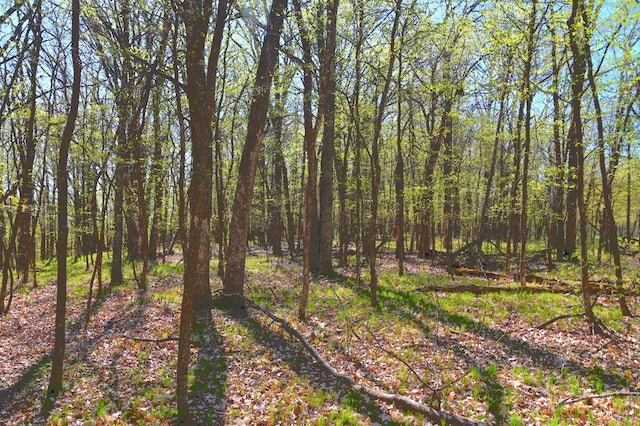8 392nd St, Fawn Lake Twp, MN 56438
