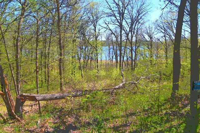 51 Ottawa Dr, Fawn Lake Twp, MN 56438