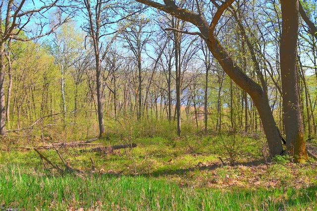 51 Ottawa Dr, Fawn Lake Twp, MN 56438