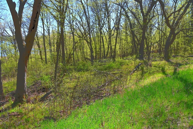 51 Ottawa Dr, Fawn Lake Twp, MN 56438