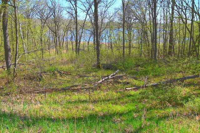 51 Ottawa Dr, Fawn Lake Twp, MN 56438