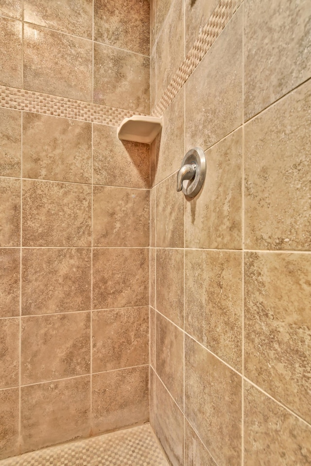 1426 Woodland Way, Lake City, MN 55041 - bathroom view of tiled shower