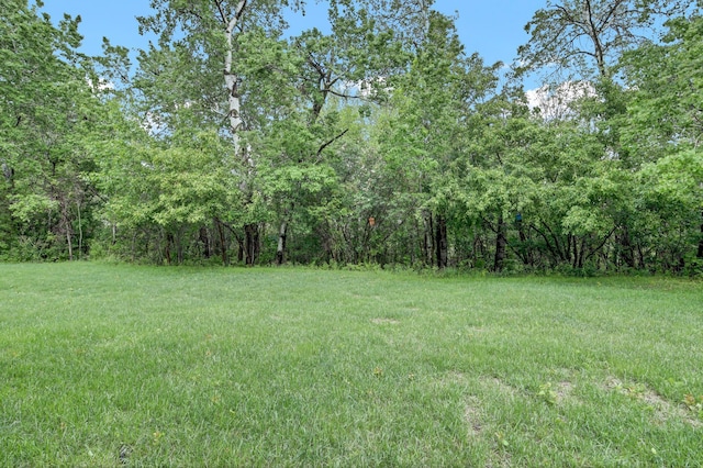 1426 Woodland Way, Lake City, MN 55041 - view of yard featuring a forest view