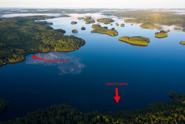 X Waters Island, Morse Twp, MN 55731 - bird's eye view of a forest and a nearby body of water