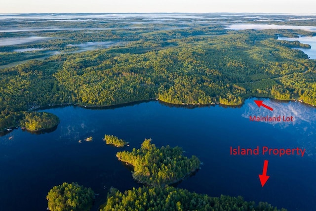 X Waters Island, Morse Twp, MN 55731 - aerial view of a forest