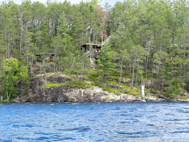 X Waters Island, Morse Twp, MN 55731 - water view featuring a heavily wooded area