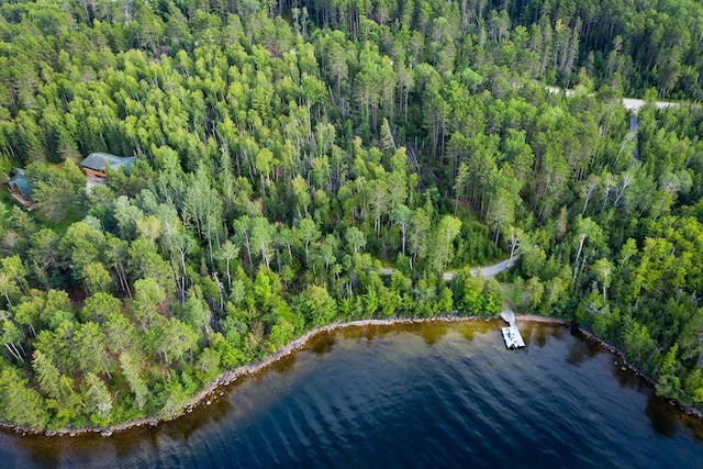 X Waters Island, Morse Twp, MN 55731 - aerial view of property's location featuring a forest and a nearby body of water