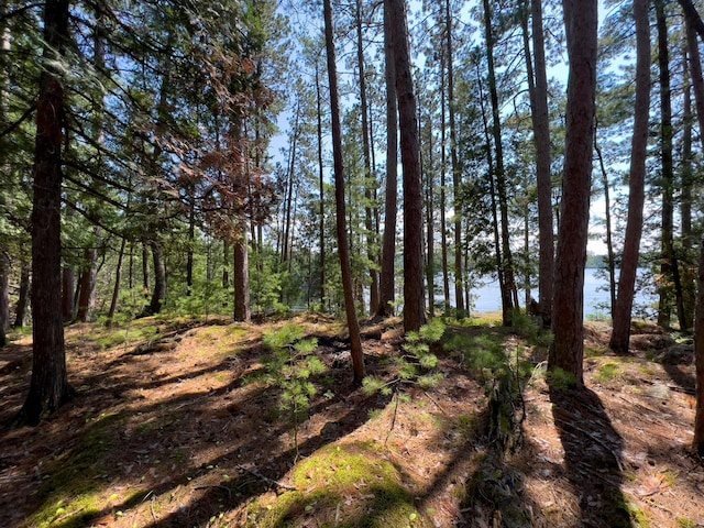 X Waters Island, Morse Twp, MN 55731 - view of undeveloped land