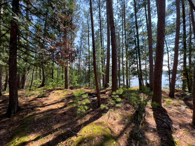 X Waters Island, Morse Twp, MN 55731 - view of local wilderness