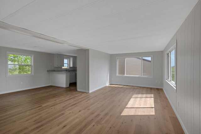 19363 County Road 21, Eden Lake Twp, MN 56368 - unfurnished living room featuring wood finished floors, a sink, baseboards, and wood walls