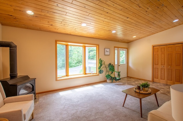 4325 Brinkman Dr NE, Bemidji, MN 56601 - photo 9