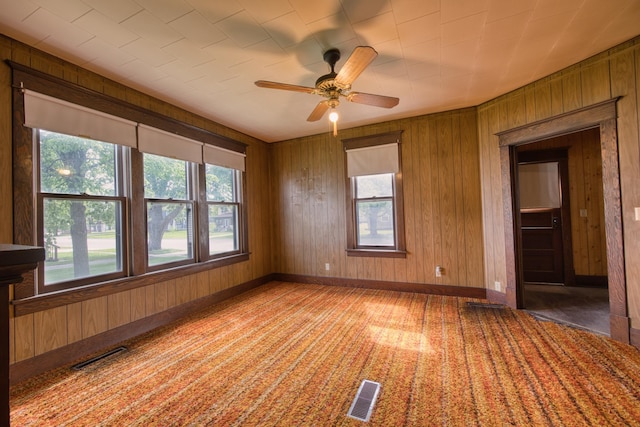 411 6th St, Bird Island, MN 55310 - empty room featuring plenty of natural light, wood walls, ceiling fan, baseboards, and light carpet