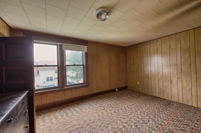 411 6th St, Bird Island, MN 55310 - carpeted empty room with wooden walls
