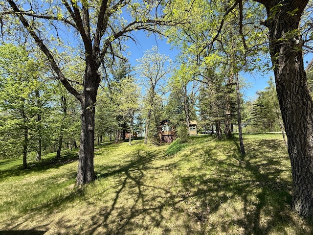 20434 Tiedeman Rd, Rochert, MN 56578 - view of green lawn