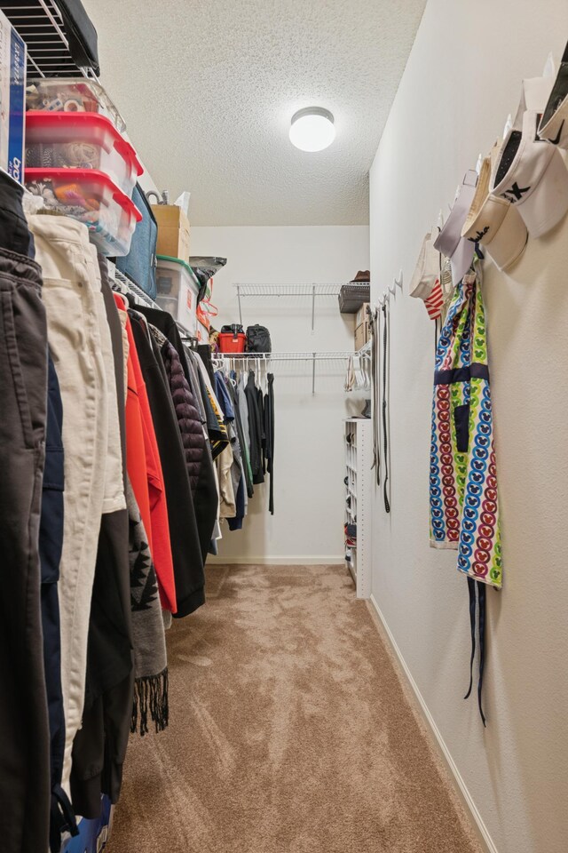 3800 85th Ave N Unit 312, Brooklyn Park, MN 55443 - spacious closet with carpet floors