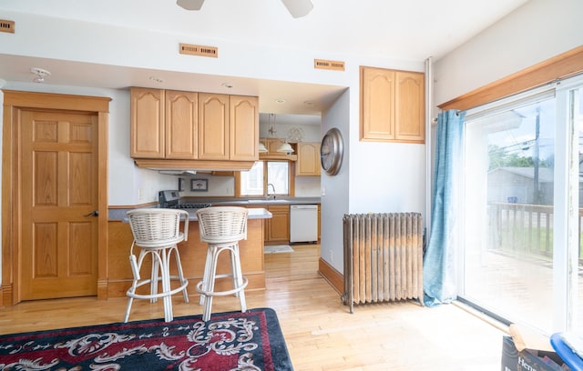 1638 Concordia Ave, Saint Paul, MN 55104 - kitchen with radiator heating unit, dishwasher, a sink, light brown cabinetry, and light wood-style flooring